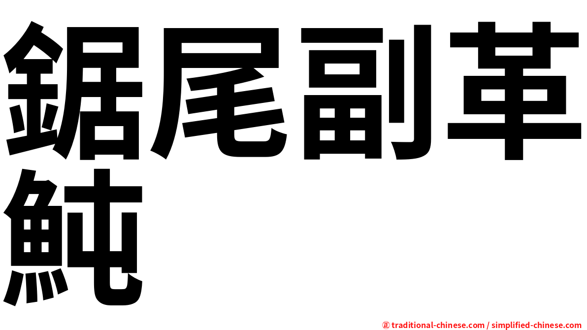 鋸尾副革魨