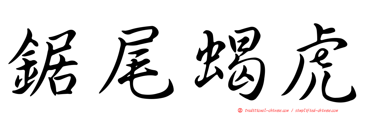 鋸尾蝎虎