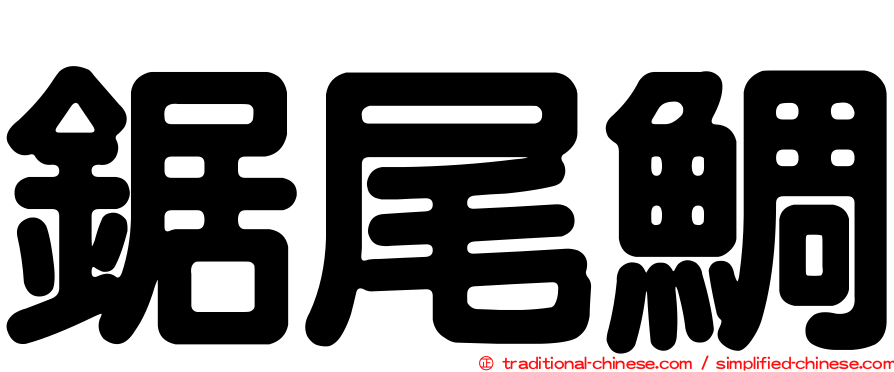 鋸尾鯛