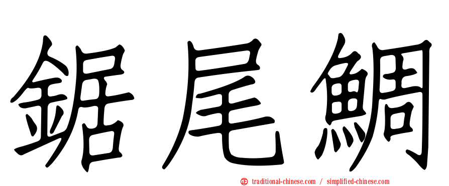鋸尾鯛