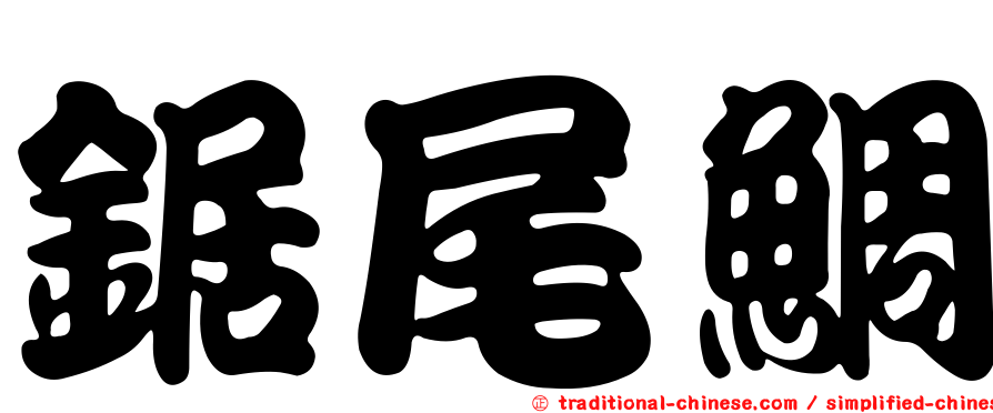 鋸尾鯛