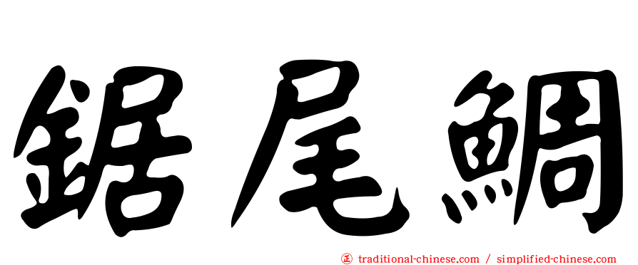 鋸尾鯛