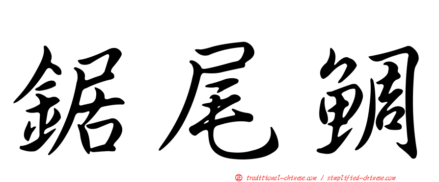 鋸尾鯛