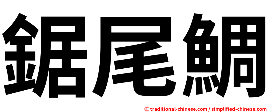 鋸尾鯛