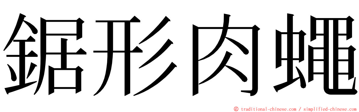 鋸形肉蠅 ming font