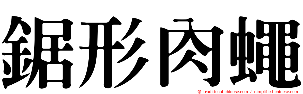 鋸形肉蠅