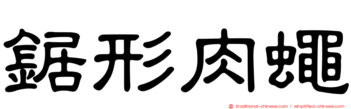 鋸形肉蠅