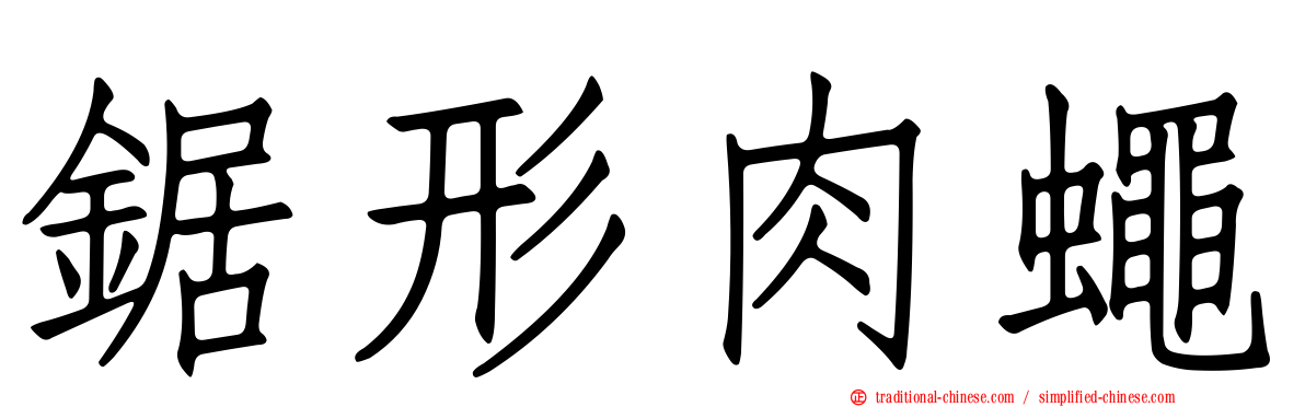 鋸形肉蠅