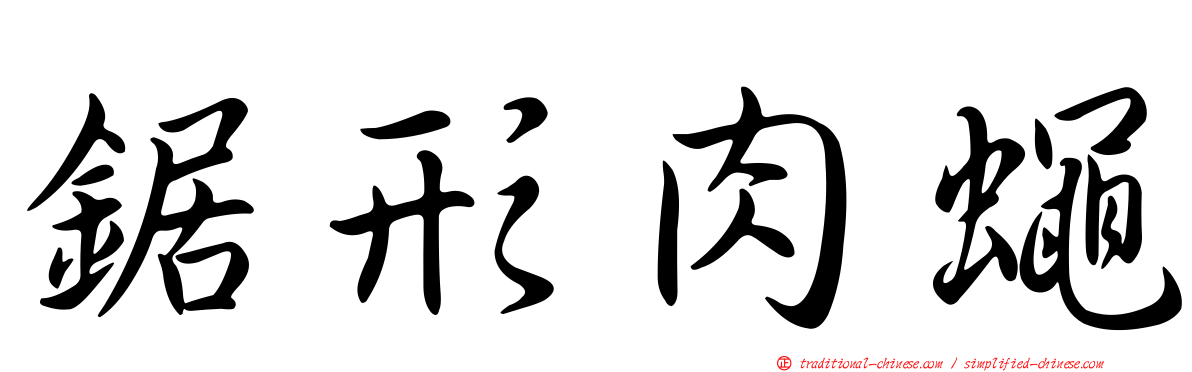 鋸形肉蠅