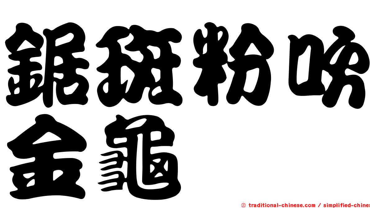 鋸斑粉吹金龜