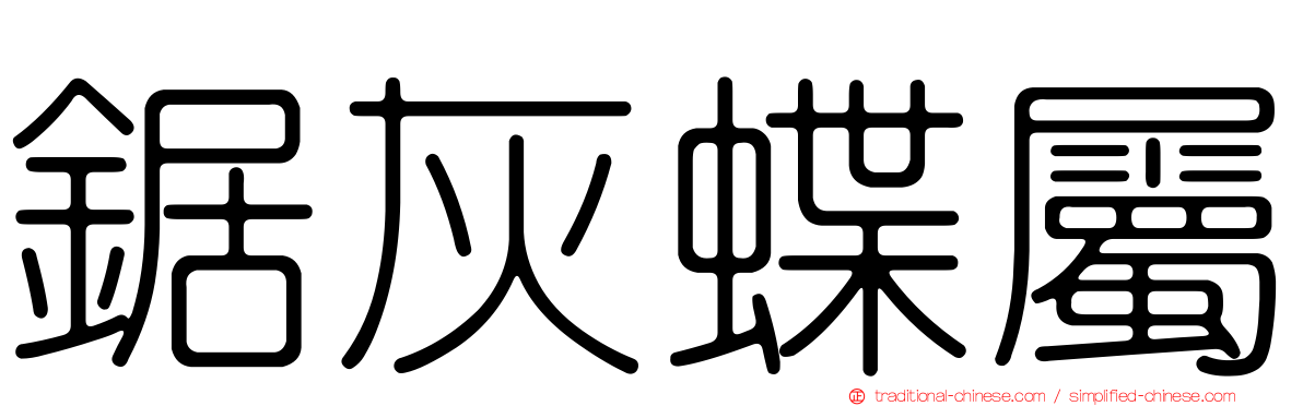 鋸灰蝶屬