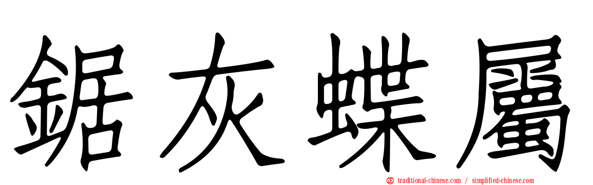 鋸灰蝶屬