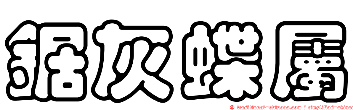 鋸灰蝶屬