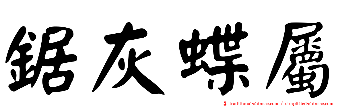 鋸灰蝶屬