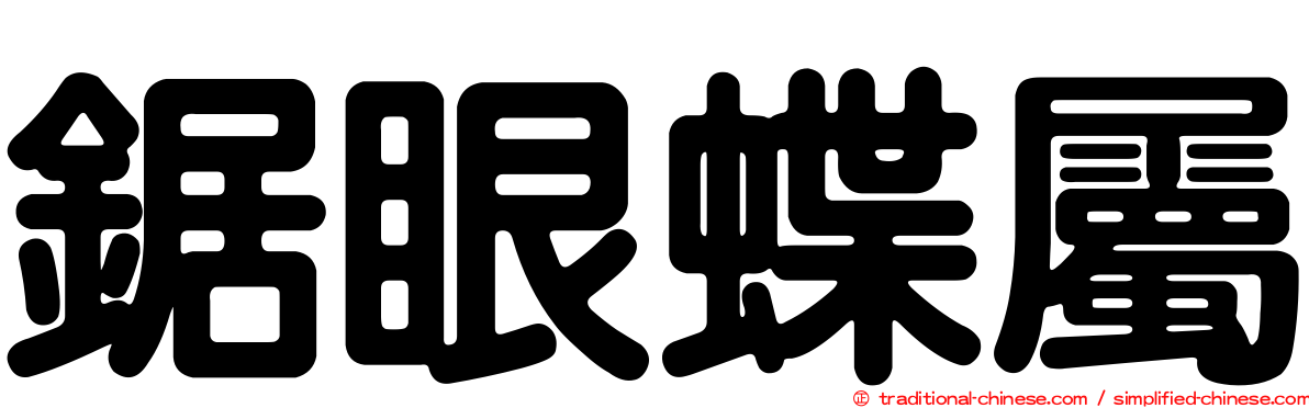鋸眼蝶屬