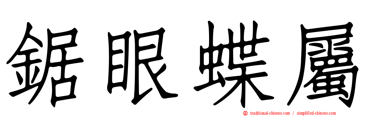 鋸眼蝶屬