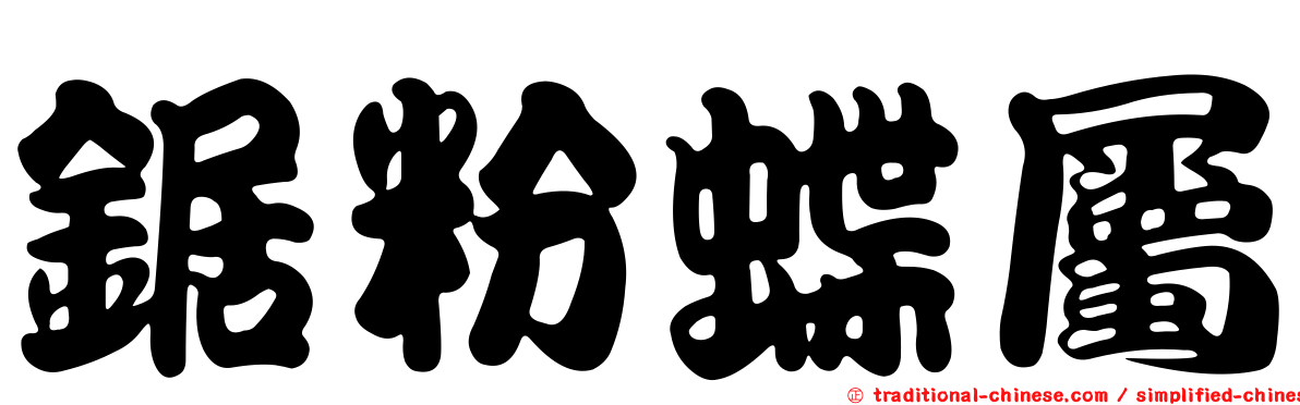 鋸粉蝶屬