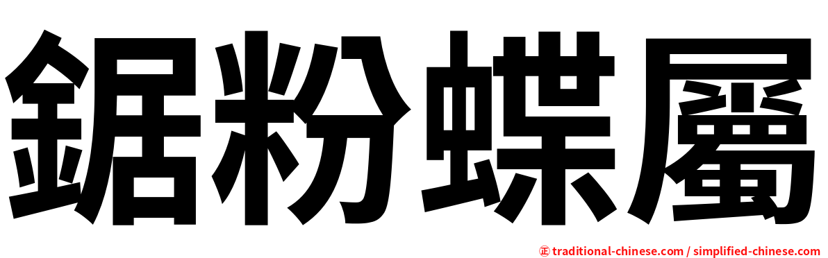 鋸粉蝶屬