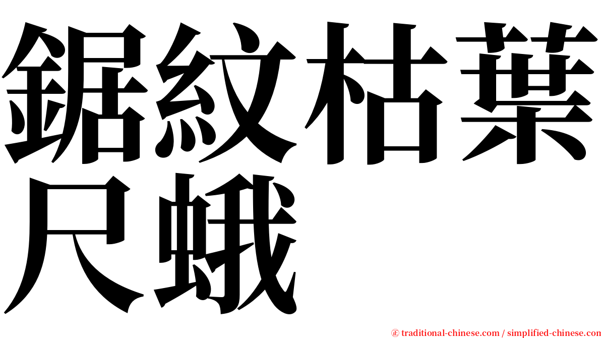 鋸紋枯葉尺蛾 serif font