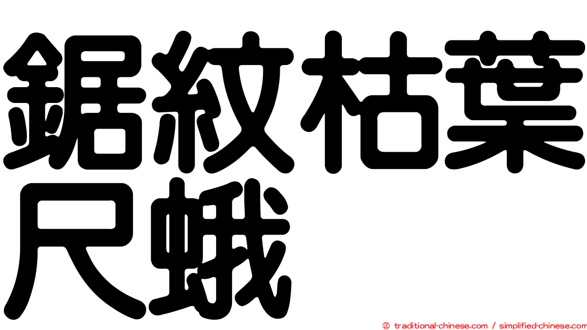 鋸紋枯葉尺蛾