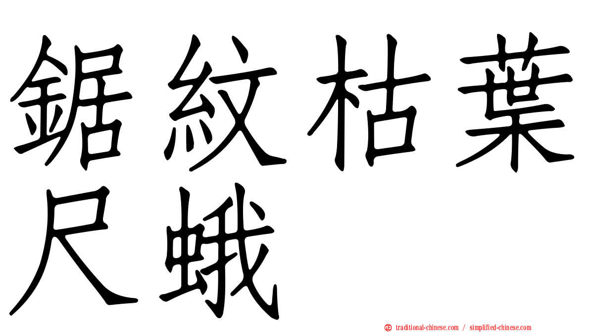 鋸紋枯葉尺蛾