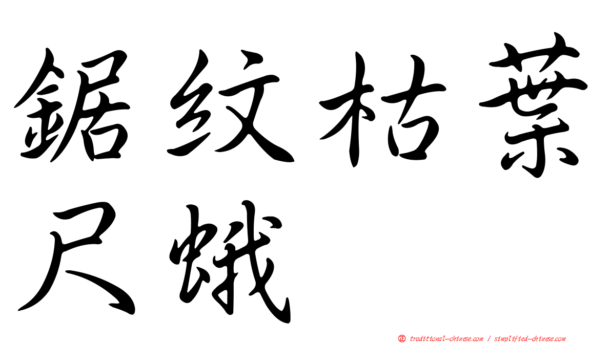 鋸紋枯葉尺蛾