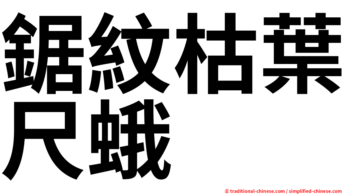 鋸紋枯葉尺蛾