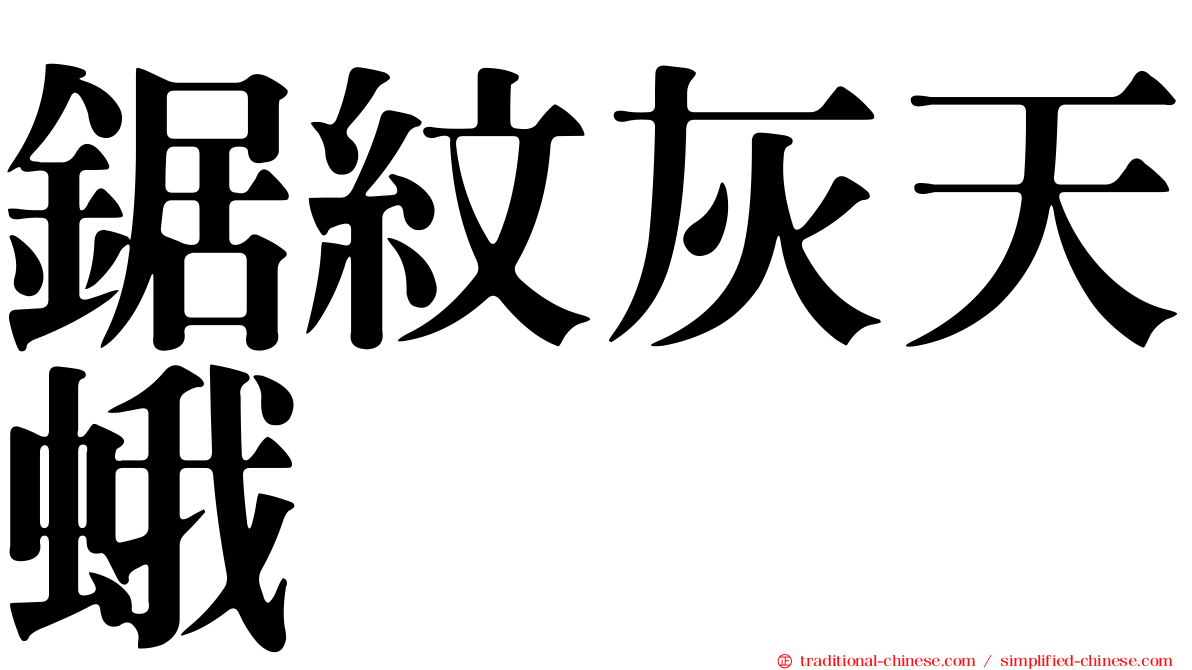鋸紋灰天蛾