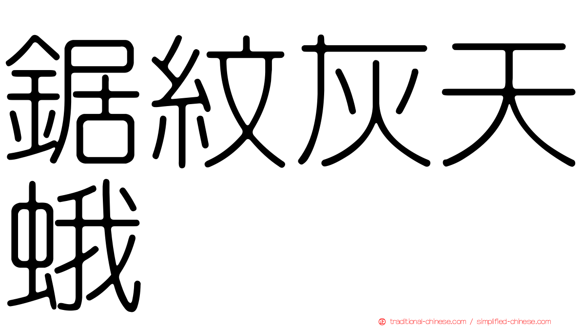 鋸紋灰天蛾
