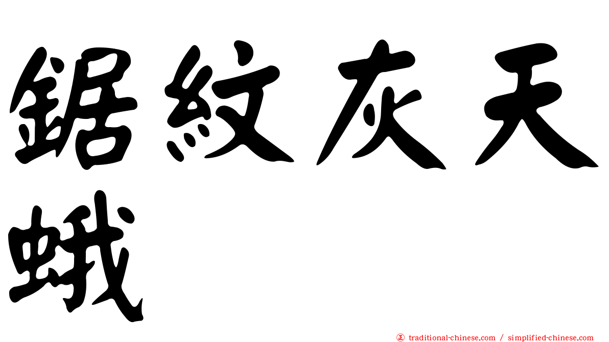 鋸紋灰天蛾
