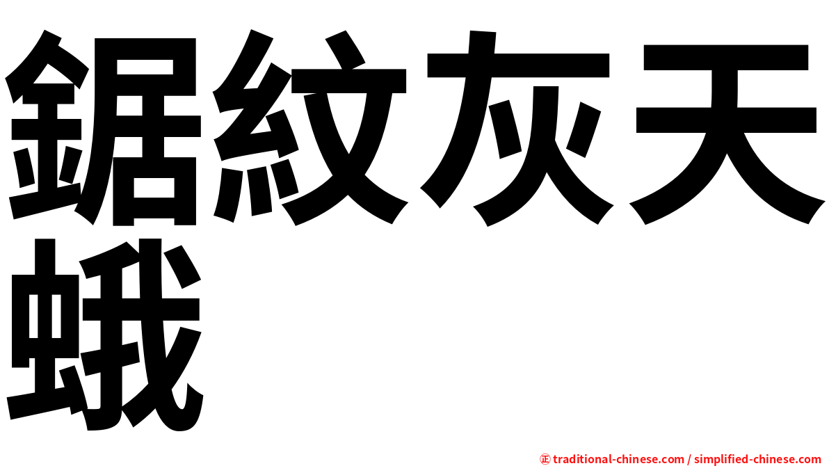 鋸紋灰天蛾