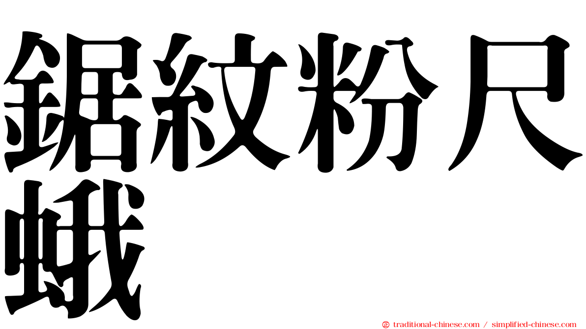 鋸紋粉尺蛾