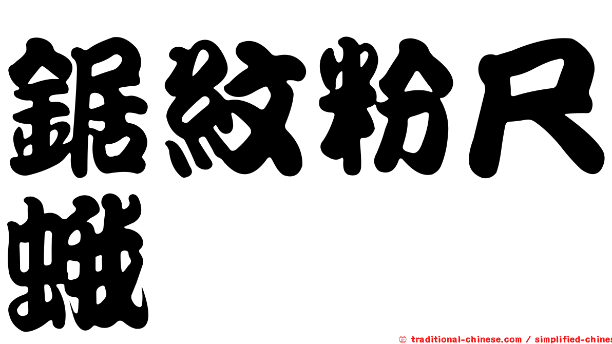 鋸紋粉尺蛾