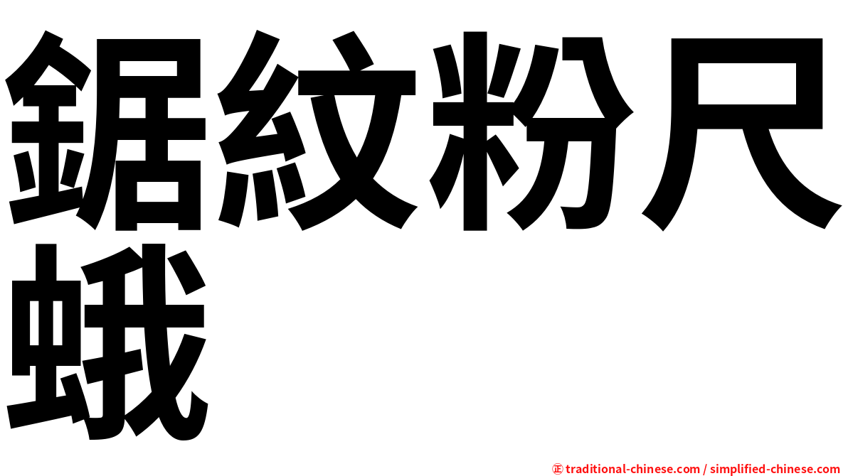鋸紋粉尺蛾