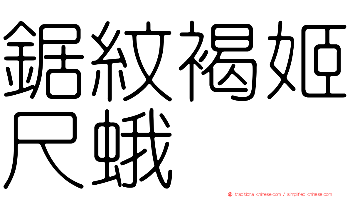鋸紋褐姬尺蛾