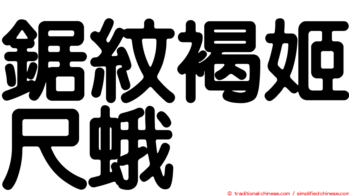 鋸紋褐姬尺蛾