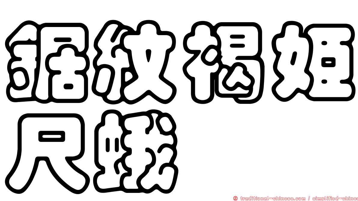 鋸紋褐姬尺蛾