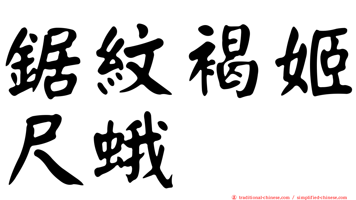鋸紋褐姬尺蛾