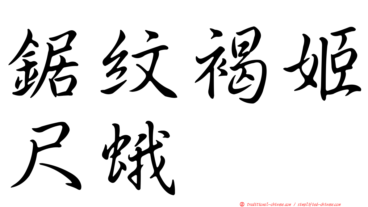 鋸紋褐姬尺蛾