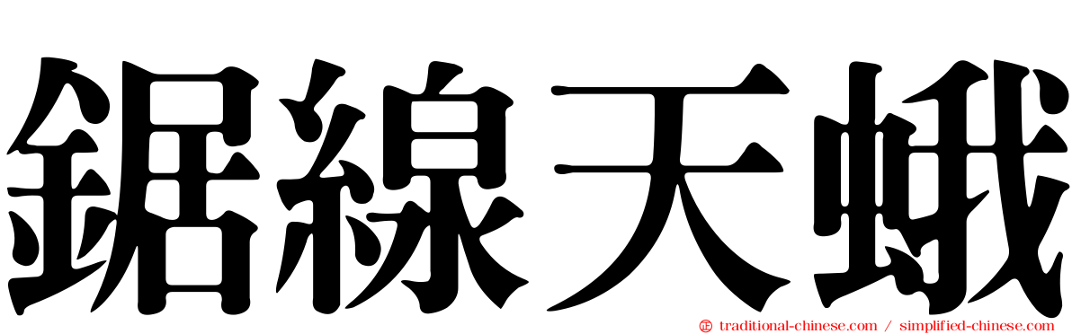 鋸線天蛾