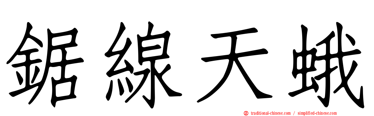 鋸線天蛾