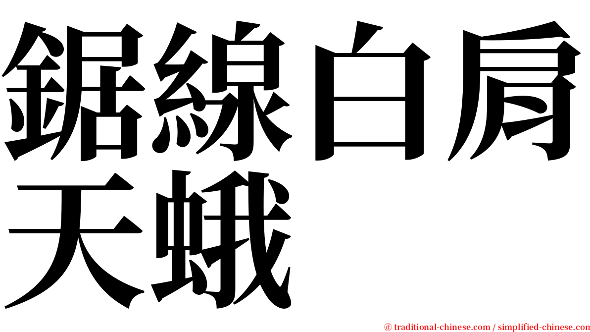 鋸線白肩天蛾 serif font