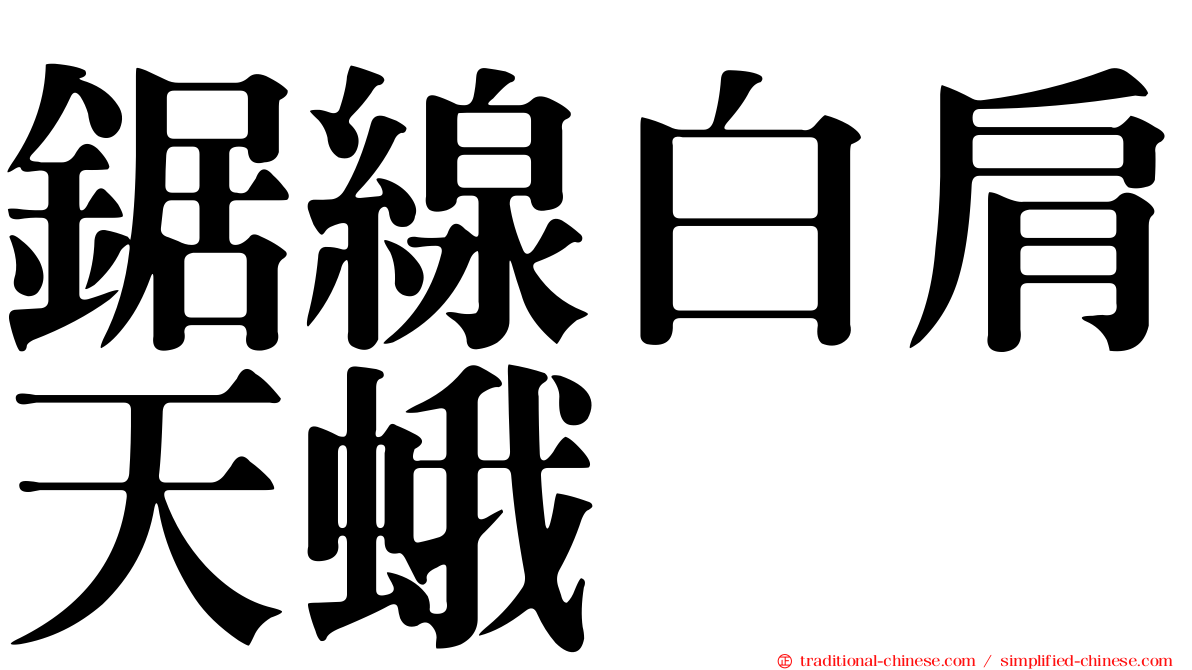 鋸線白肩天蛾