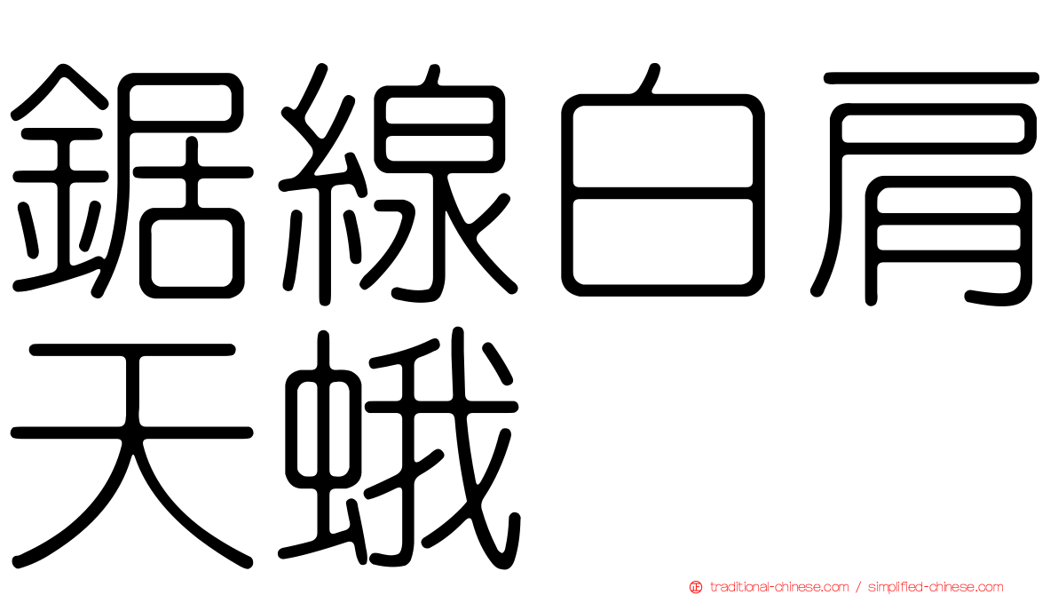 鋸線白肩天蛾