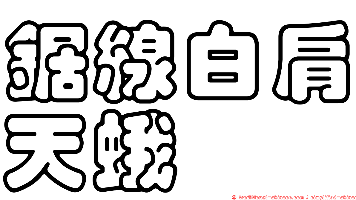 鋸線白肩天蛾