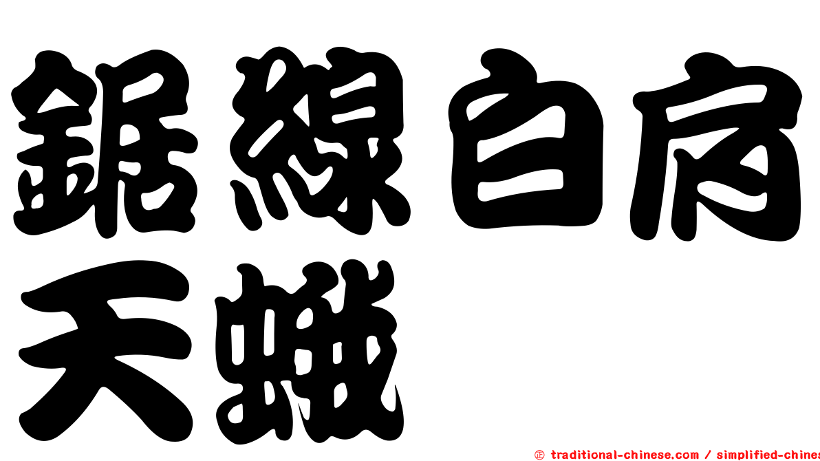 鋸線白肩天蛾