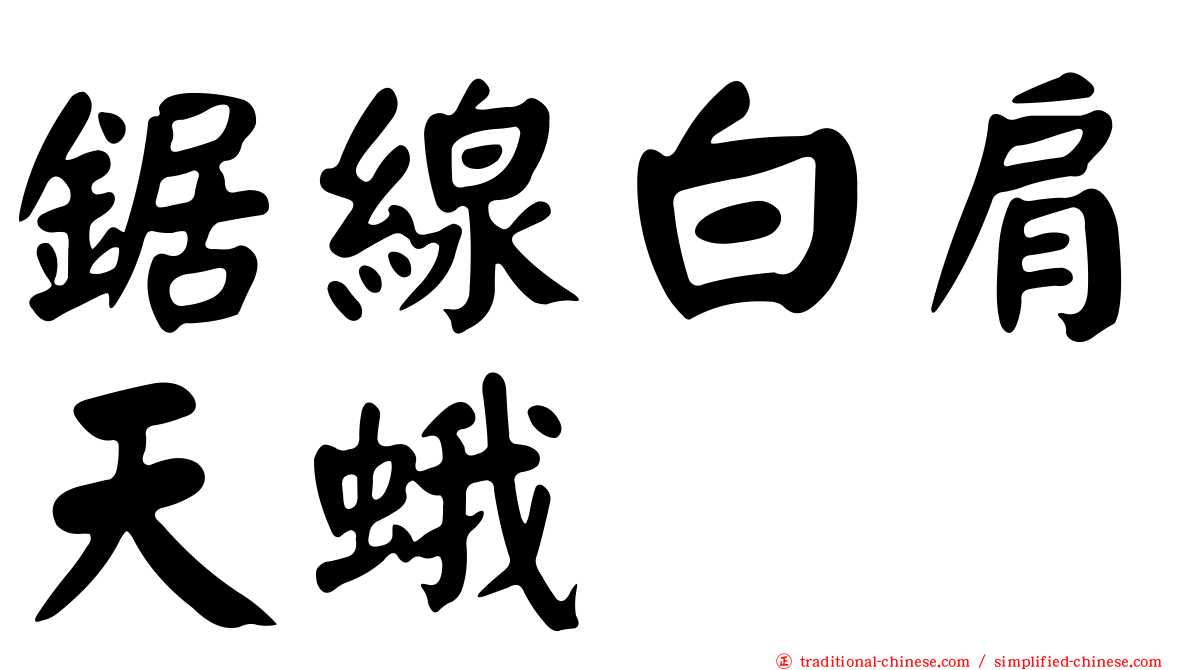鋸線白肩天蛾