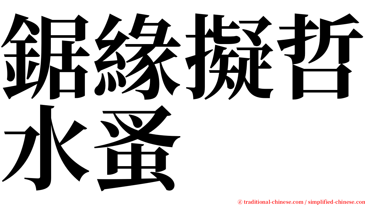 鋸緣擬哲水蚤 serif font