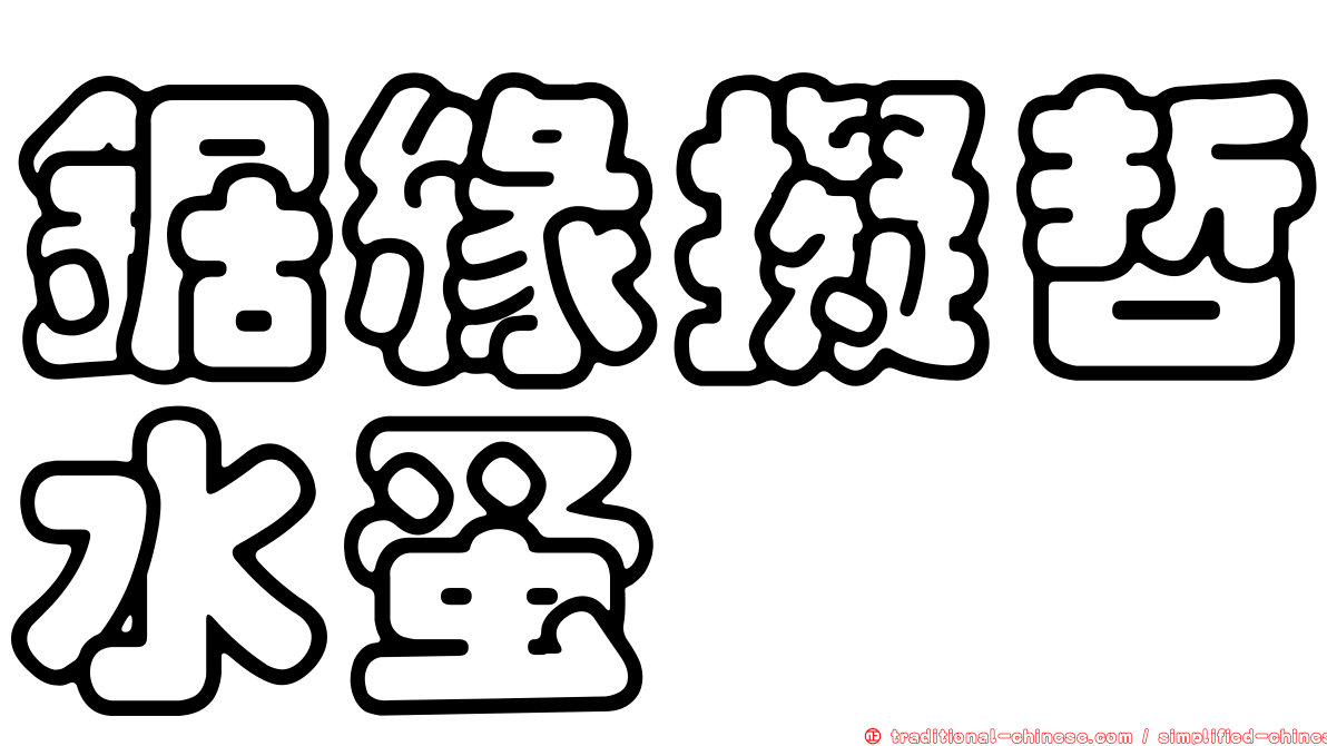鋸緣擬哲水蚤