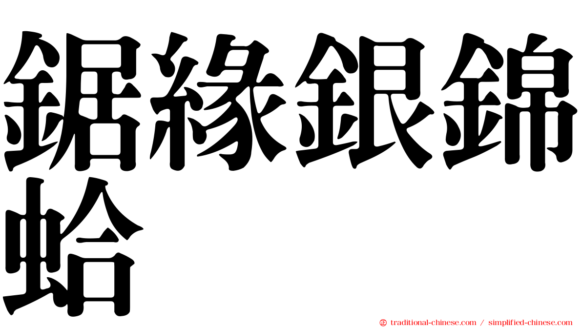 鋸緣銀錦蛤